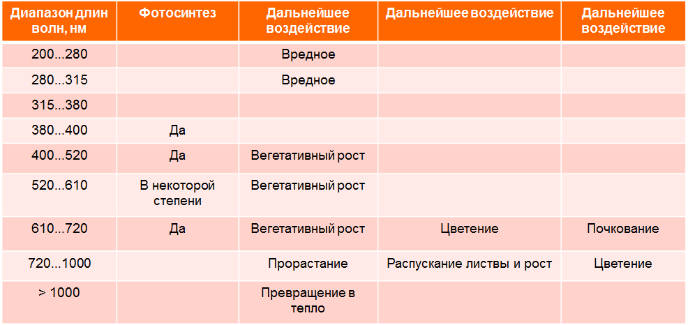 Vlijanie spektralnogo sostava sveta na rost rastenij