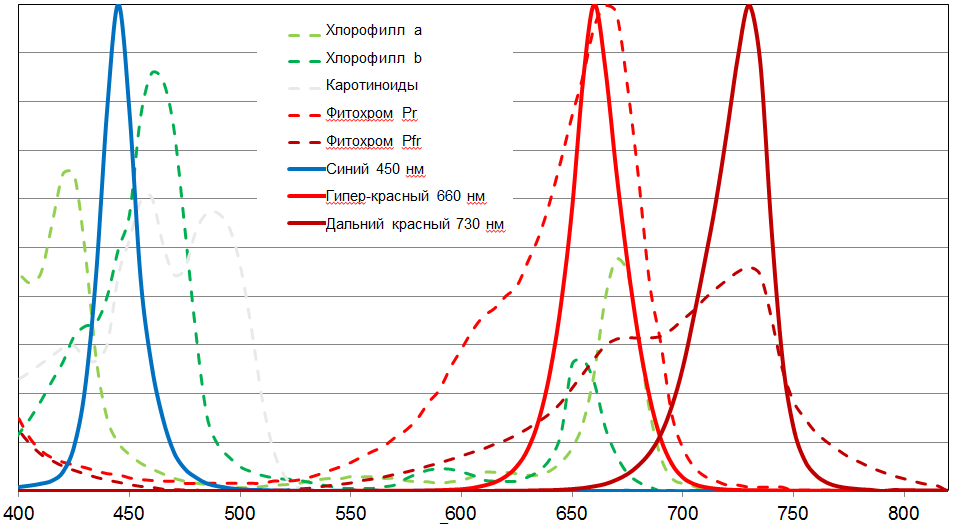 Svet chastej sektra v odnotipnuch korpusach